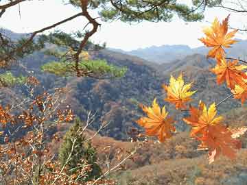 安慶涂層廠(chǎng)招聘信息最新，安慶涂層廠(chǎng)最新招聘信息發(fā)布